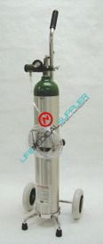 Emergency Oxygen Kit w/cylinder type E regulator 1-8lpm - Life Medical ...